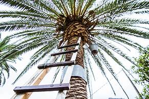 Apartamentos Los Telares