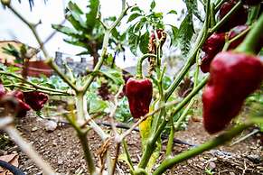 Apartamentos Los Telares