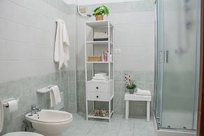 Actinia Accomodation