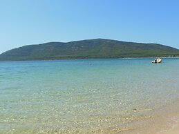 Actinia Accomodation