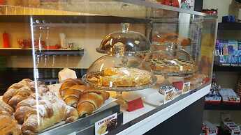 Actinia Accomodation