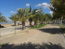 Actinia Accomodation