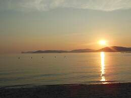 Actinia Accomodation