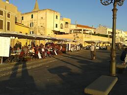 Actinia Accomodation