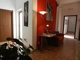 Actinia Accomodation