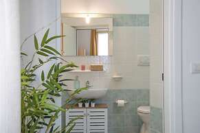 Actinia Accomodation