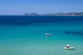 Actinia Accomodation