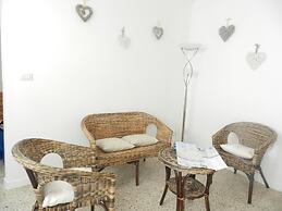 Actinia Accomodation