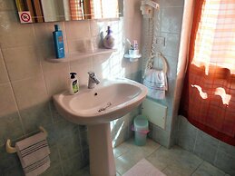 Actinia Accomodation