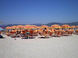 Actinia Accomodation