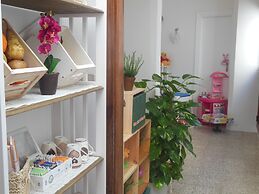 Actinia Accomodation