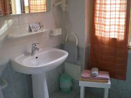 Actinia Accomodation