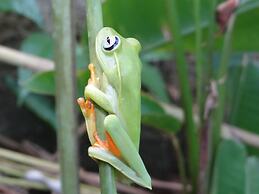 Eliconial Paraty Pousada