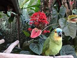 Eliconial Paraty Pousada