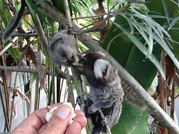 Eliconial Paraty Pousada