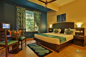 Misty Mountain Resort