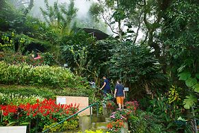 Misty Mountain Resort