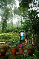 Misty Mountain Resort