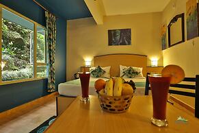 Misty Mountain Resort