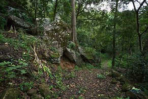 Misty Mountain Resort