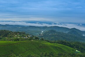 Misty Mountain Resort