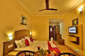 Misty Mountain Resort