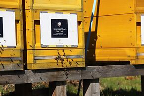 Kempinski Hotel Das Tirol