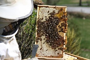 Kempinski Hotel Das Tirol