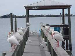 Paradise Cove at Lemon Bay