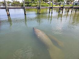 Paradise Cove at Lemon Bay
