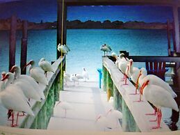 Paradise Cove at Lemon Bay