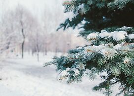 Courtyard by Marriott Indianapolis Downtown