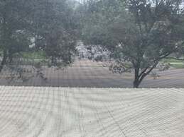 Bayberry House Bed & Breakfast