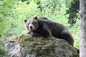 Hotel Dreisonnenberg