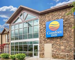 Comfort Inn Downtown