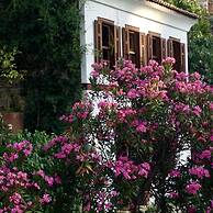 Terrace Houses Sirince - Fig, Olive Clockmakers and Grapevine