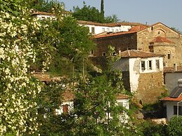 Terrace Houses Sirince - Fig, Olive Clockmakers and Grapevine