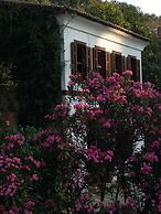 Terrace Houses Sirince - Fig, Olive Clockmakers and Grapevine