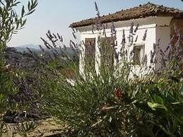 Terrace Houses Sirince - Fig, Olive Clockmakers and Grapevine