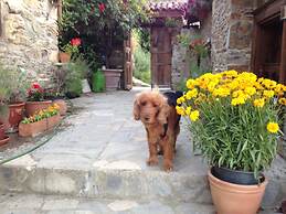 Terrace Houses Sirince - Fig, Olive Clockmakers and Grapevine