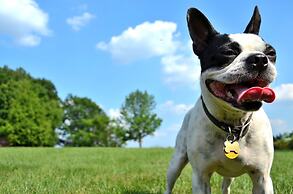 Aloft Jacksonville Airport