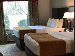 Comfort Suites Bay City