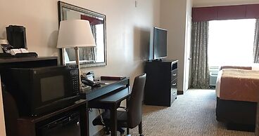 Comfort Suites Bay City