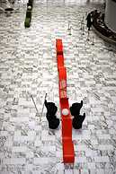 Royal Tulip Brasilia Alvorada