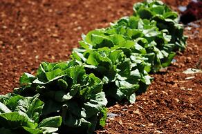 Casal Santa Eulàlia Hotel