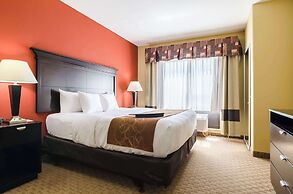 Comfort Suites Salina South