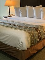 Ambassador Inn and Suites Tuscaloosa