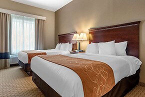 Comfort Suites Biloxi - Ocean Springs