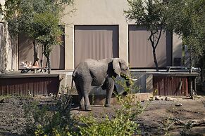 Honeyguide Tented Safari Camps - Mantobeni