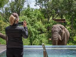 Honeyguide Tented Safari Camps - Mantobeni